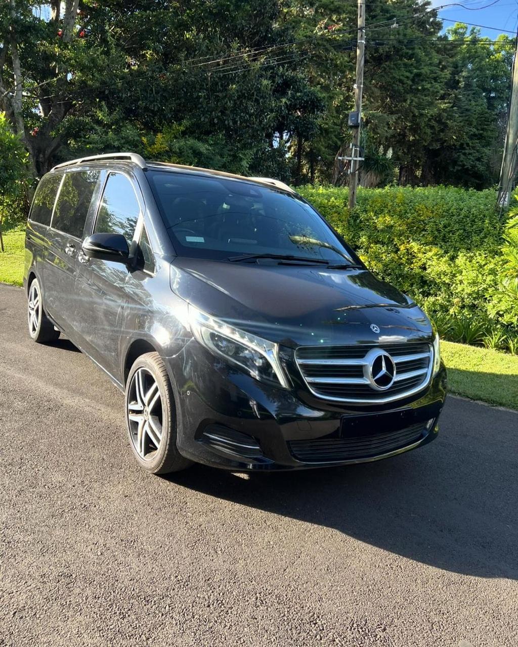 Mercedes Viano