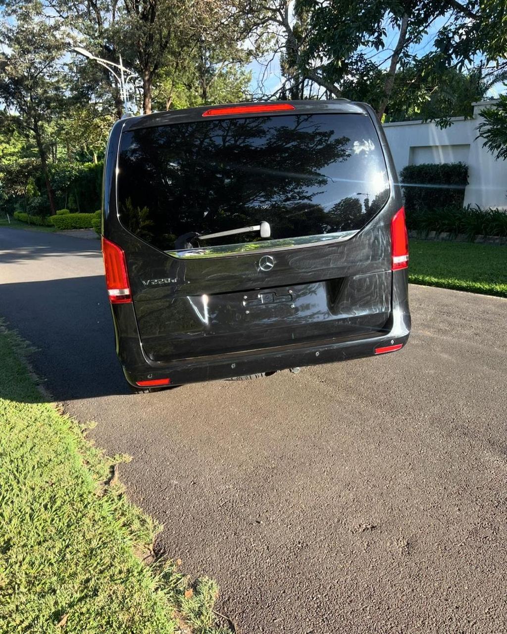 Mercedes Viano